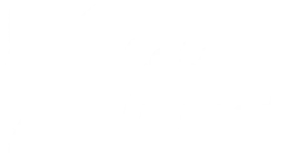Katzen in Not